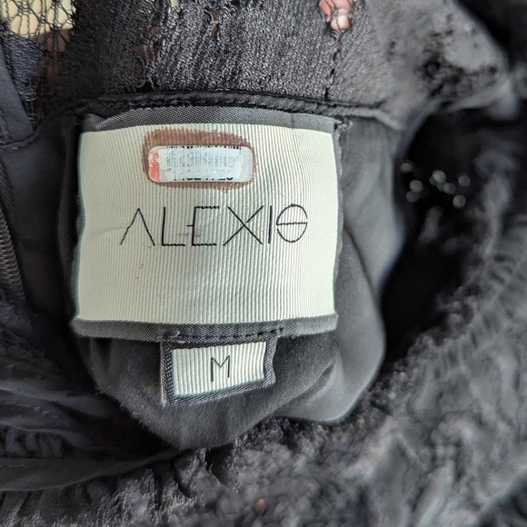 Alexis Fala Lace Dress - Picture 6 of 8